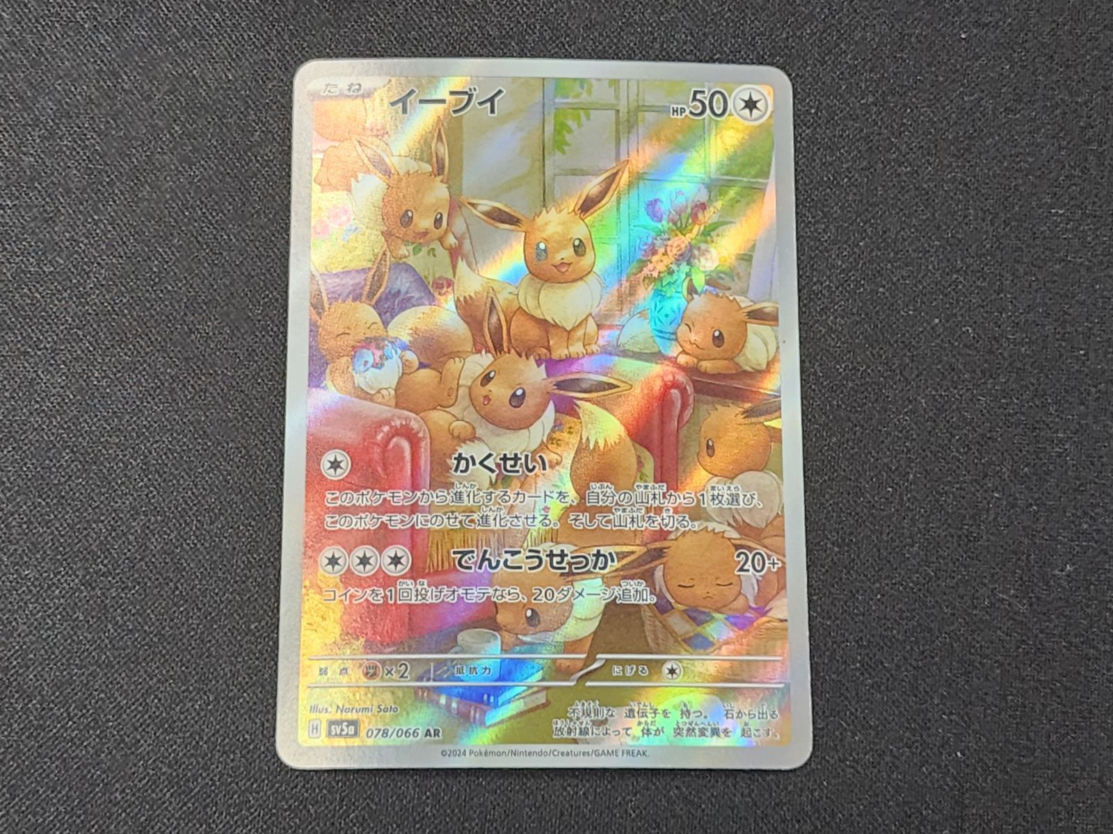 セット 商品説明文