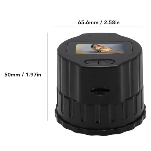 惑星および鳥po