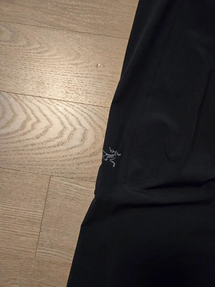 ARC TERYX アークテリクス メンズ サン SAN 登山 ズボン