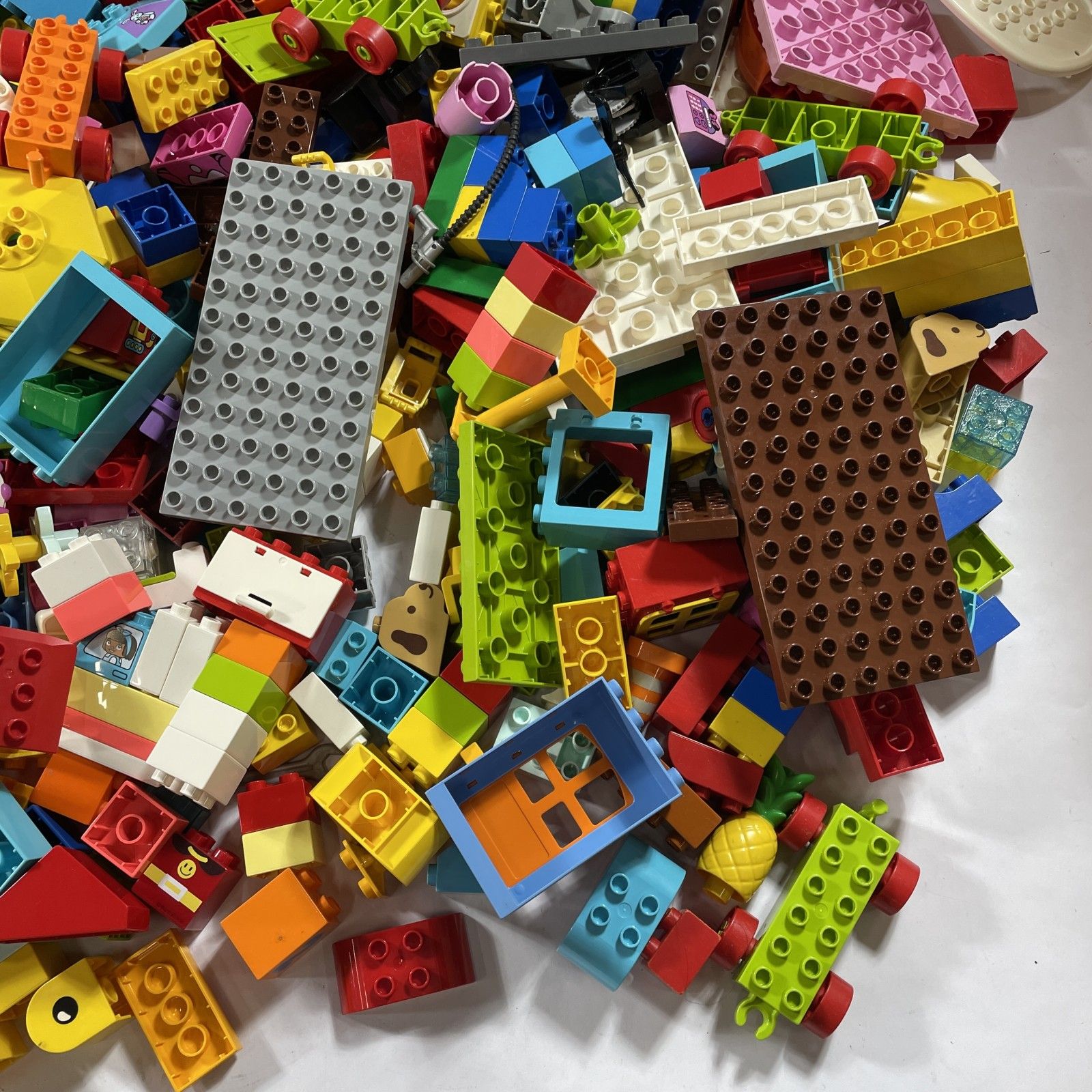 フィグ 動物フィグ