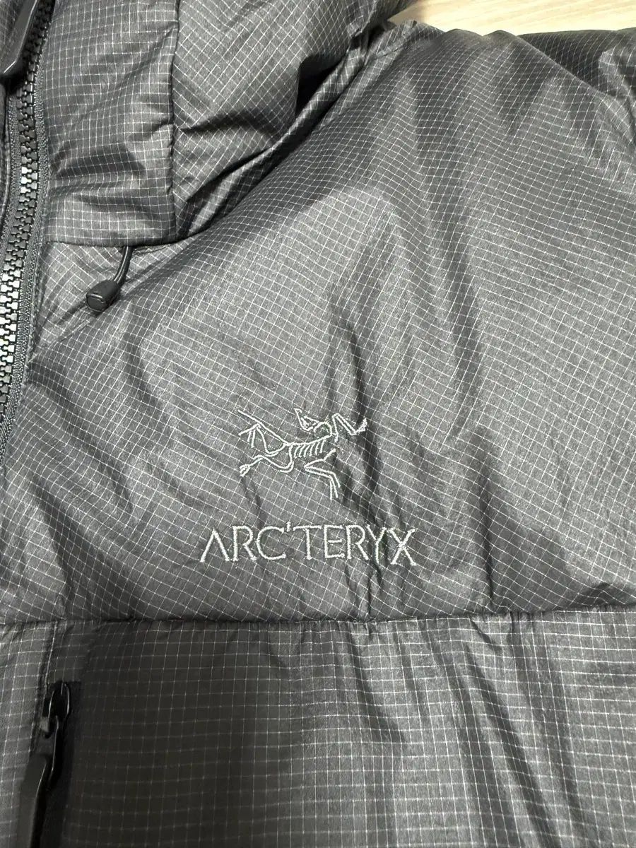 アークテリクス ヌックリアイSV Lサイズ