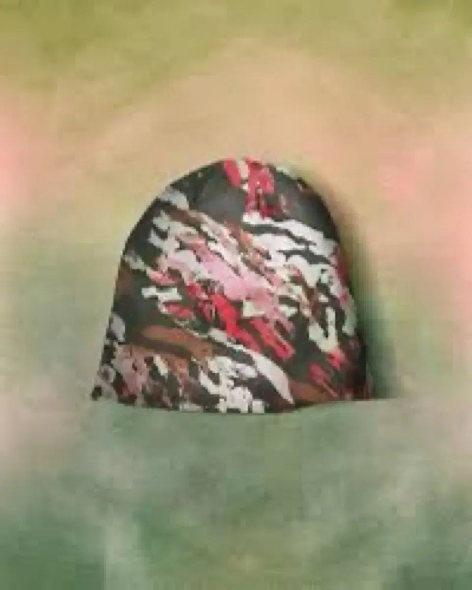 Skylrk チェリーカモ ビーニー SKYLRK BEANIE ジャスティンビーバー