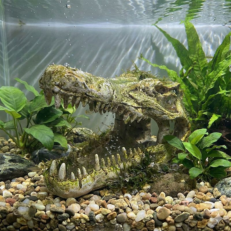 リアル ワニ わに 鰐 頭蓋骨 樹脂製 オブジェ 爬虫類 水槽 飾り