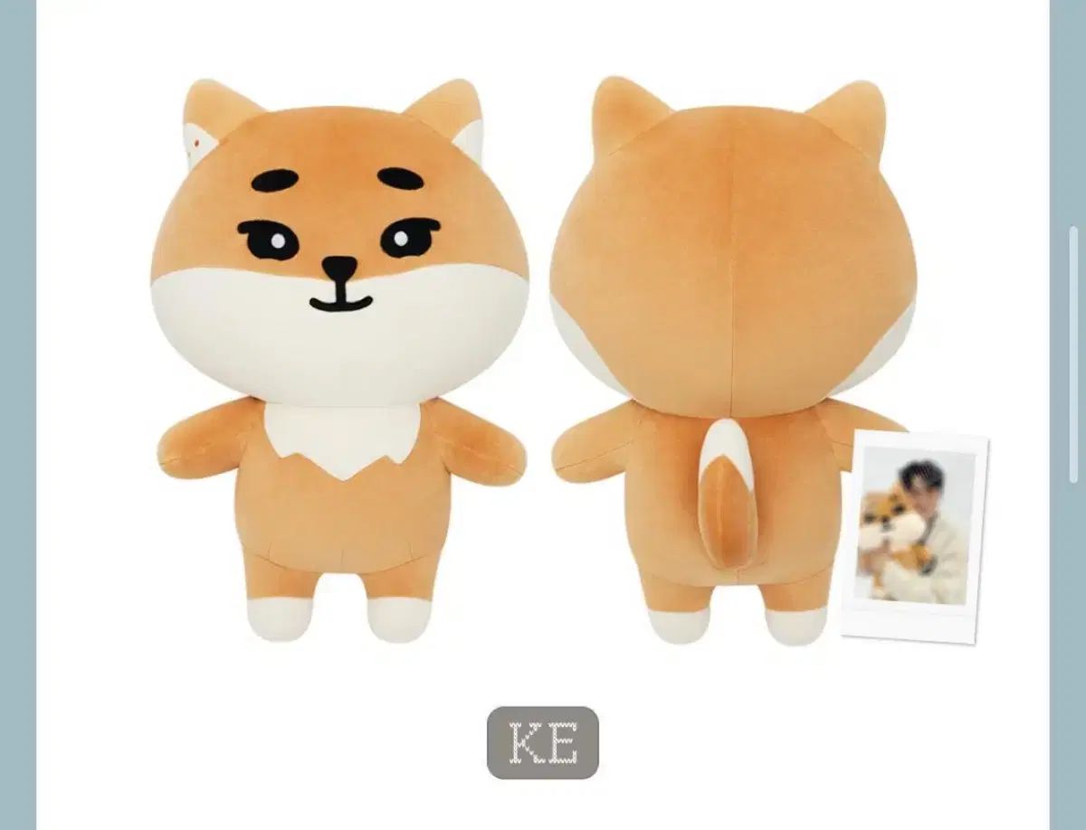 ジャイアント デニマルズ ケ