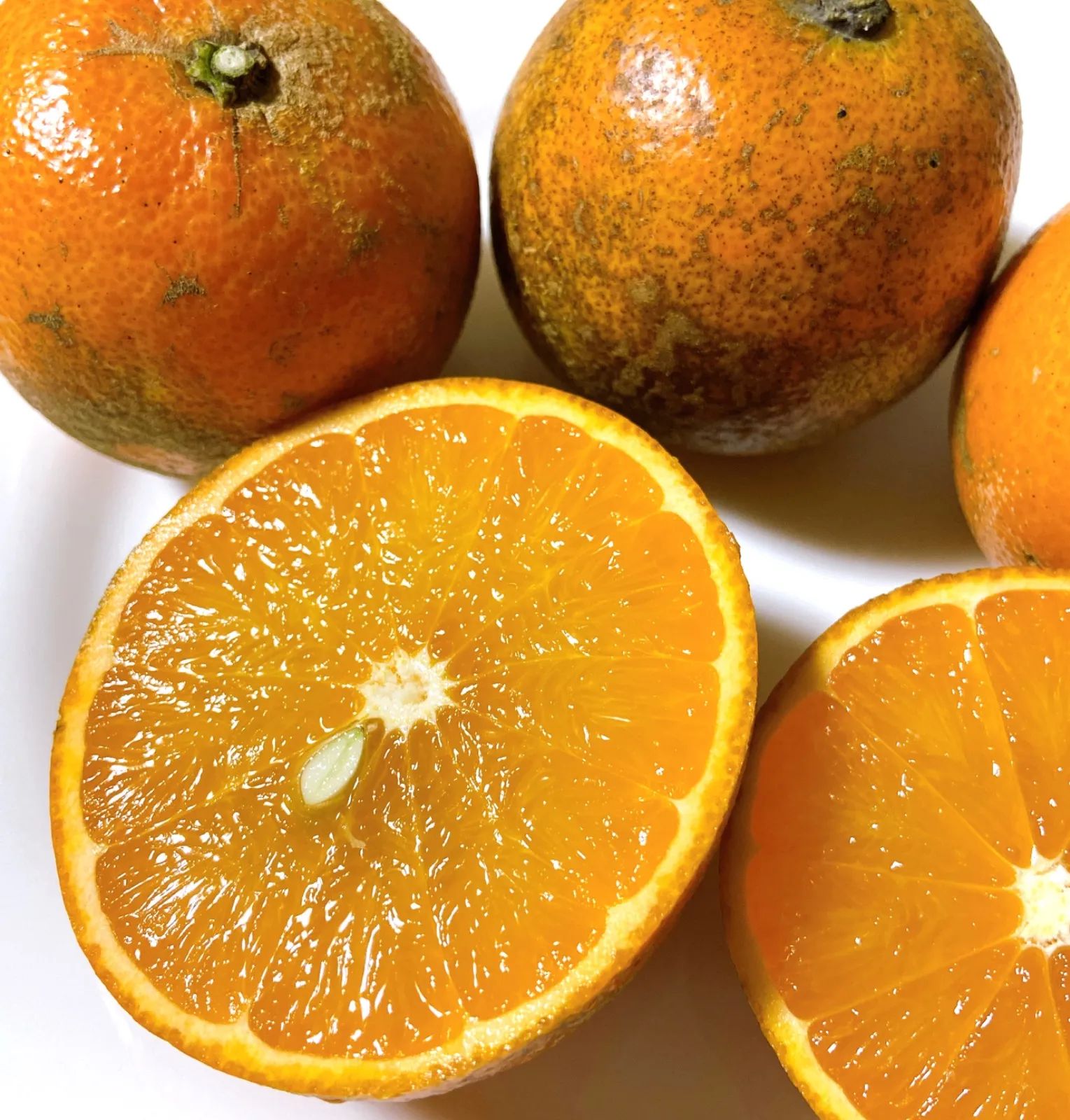 3 世界自然遺産 奄美大島産 完熟たんかん 10キロ 特産品 加工用 柑橘