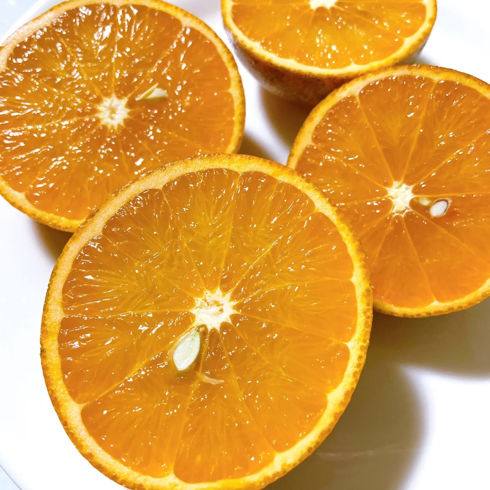 3 世界自然遺産 奄美大島産 完熟たんかん 10キロ 特産品 加工用 柑橘