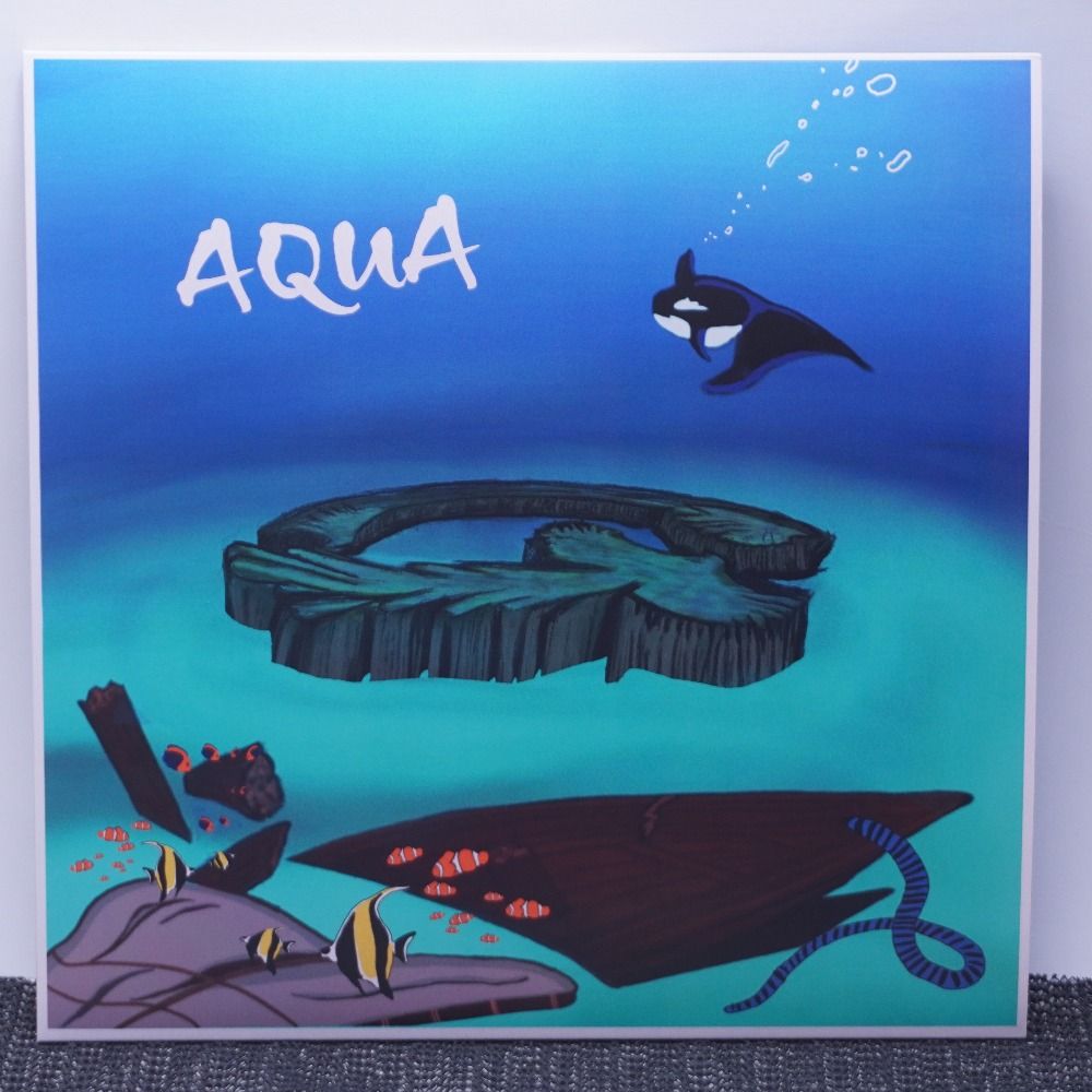 レコード Gotta AQUA - メルカリ