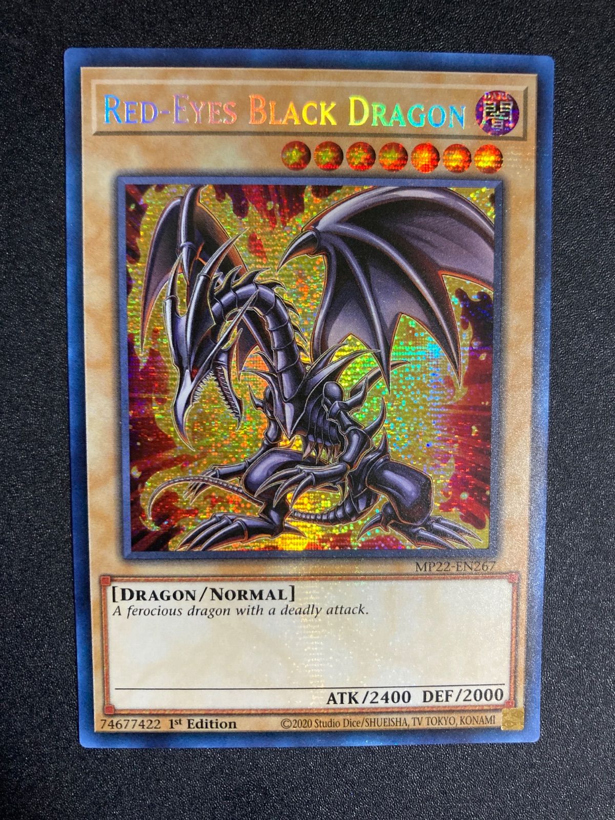 遊戯王 BF0204 遊戯王 英語版 真紅眼の黒竜 レッドアイズブラック