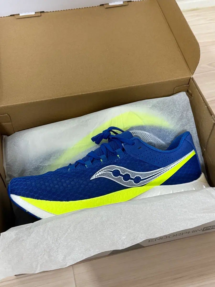 サッカニー エンドルフィン