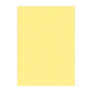 文運堂 ニュー Ｒ 10 101 クリーム