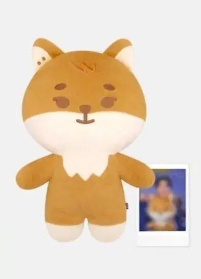 DAY6（デイシックス）ヨンケイ(Young K) ジャイアント プチあんさん