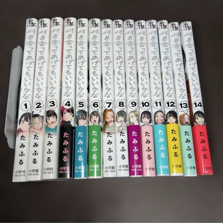 付き合ってあげてもいいかな 1～14巻 全巻セット - メルカリ