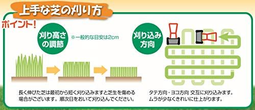  迅速に発送 大進 手動 芝刈り機 自動調整刃 DGM-H 200 R 園芸 ガーデニング 農業 女性 快適 お手軽 庭 農作業 家庭菜園 シバ コンパクト リール式 静かな 広範囲 安全 手押し 草刈機 道具 軽量 73 d 7 f 0 bb その他 キッチン 食器