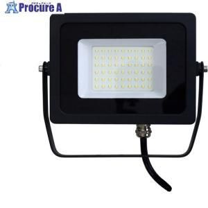 富士倉 薄型投光器30 W 30 AS-30 N