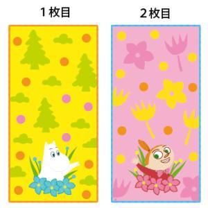 丸眞 ムーミン ムーミンと一緒 ポケットタオル 組 ミニタオル 入数 10