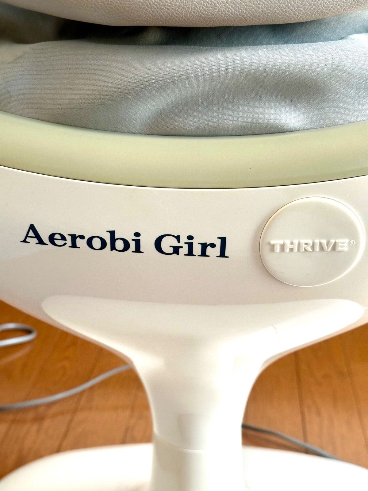 スライブ エアロビ ガール 乗馬マシン エクササイズ THRIVE Aerobi