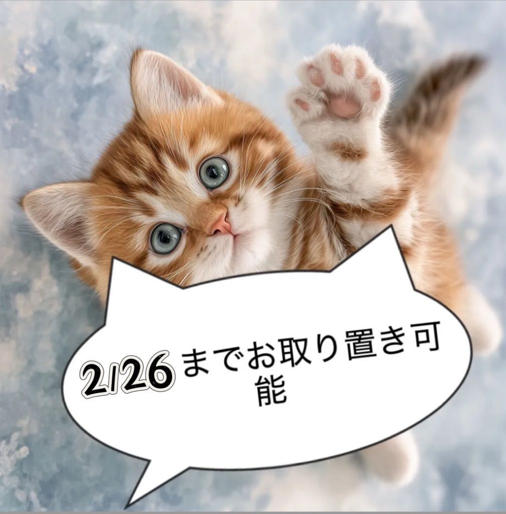 MIOさま専用 Mioさん専用 mioさん、専用!! みさん専用 mieさん専用 ZX