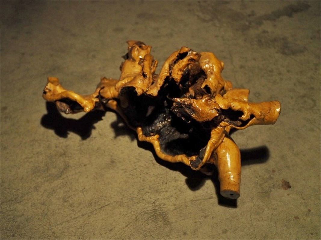 変木 木の根 オブジェに 古録展 送料無料 中古 品番B482 - メルカリ