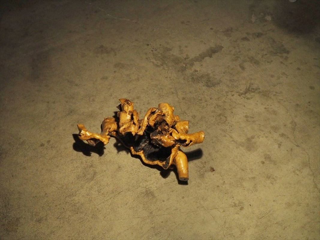 変木 木の根 オブジェに 古録展 送料無料 中古 品番B482 - メルカリ