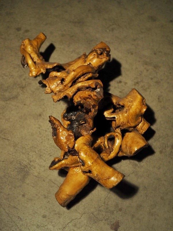 変木 木の根 オブジェに 古録展 送料無料 中古 品番B482 - メルカリ