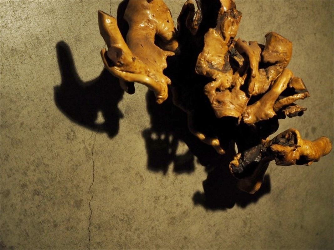 変木 木の根 オブジェに 古録展 送料無料 中古 品番B482 - メルカリ