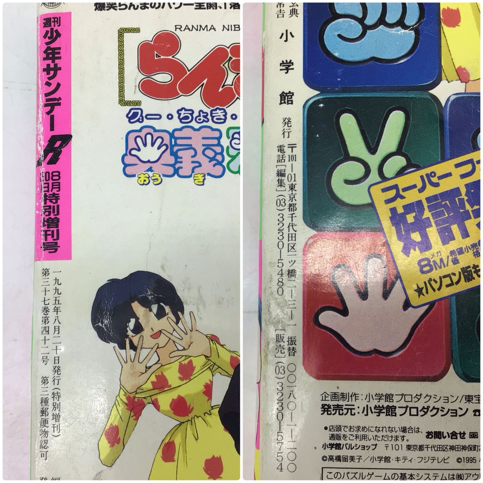 2018 週刊少年サンデーR 1995年8月20日 特別増刊号 高橋留美子
