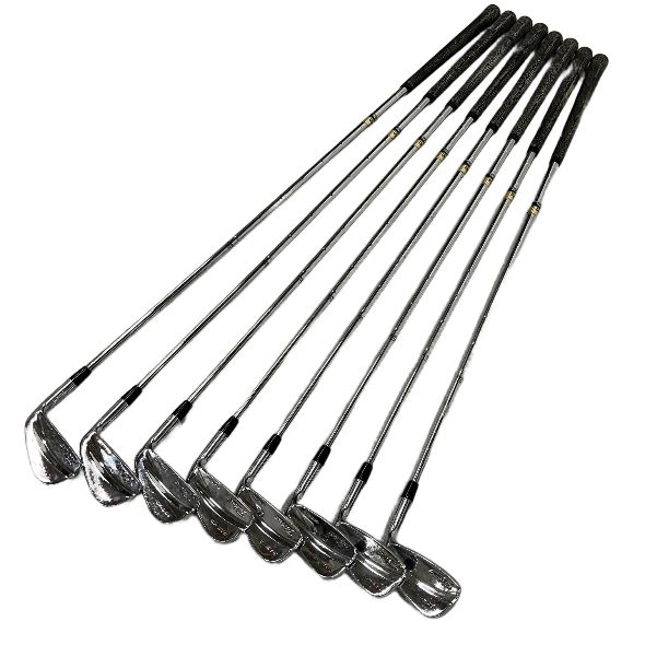 Titleist タイトリスト 695MB アイアン 3-9/P 8本セット Dynamic Gold