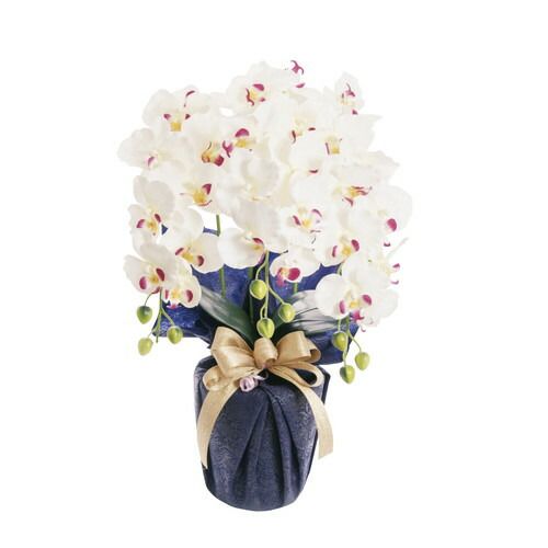 お取り寄せギフト26T】SC触媒加工 プラチナ胡蝶蘭(アーティフィシャル