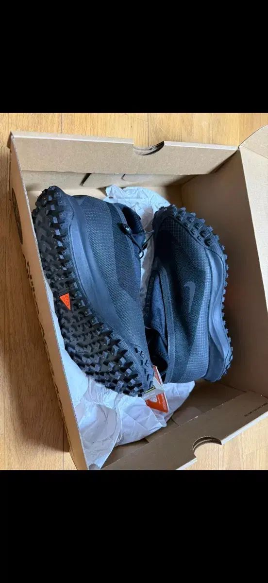 フライ ゴアテックス