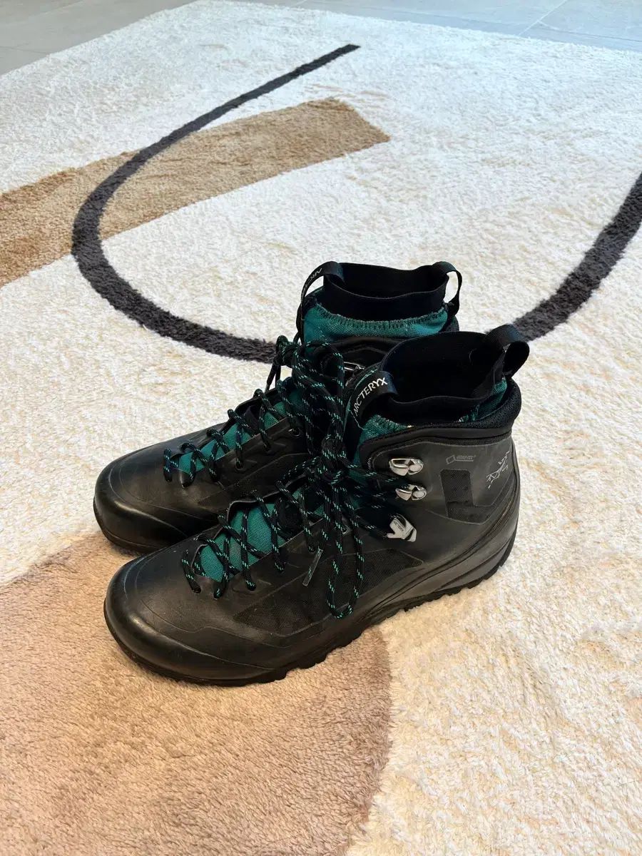 ARC TERYX アークテリクス パープル ラミド サン SAN 275