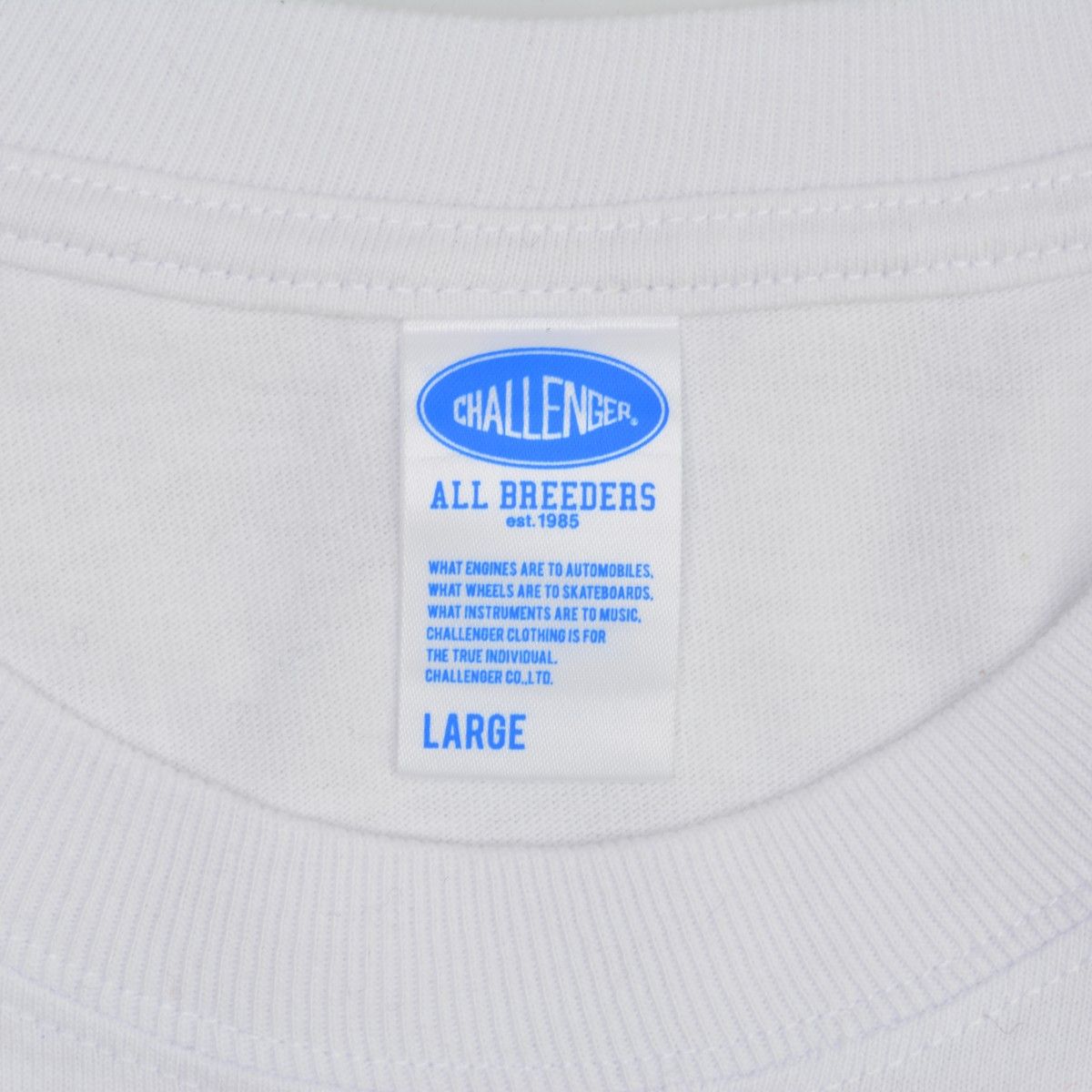 challenger】CLG-TS 025-030 L/S SUNSET DRIVE TEE サンセットドライブ 