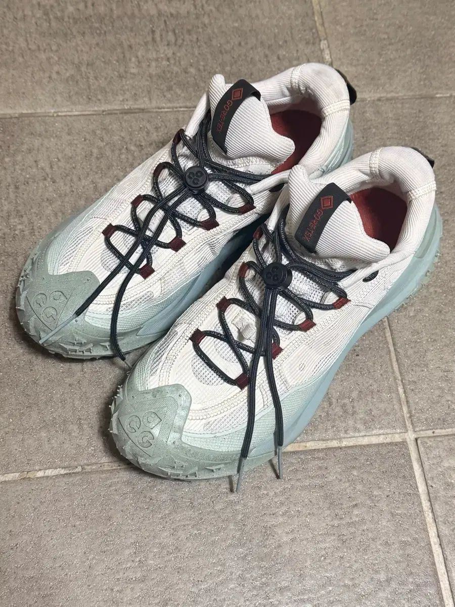 ナイキ ACG マウンテン フライ 2 ロー ゴアテックス 270