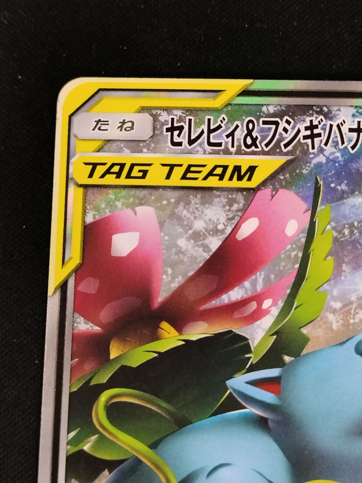 TCG ポケモンカードセレビィ フシギバナGX 097 095 SR SA 50 61