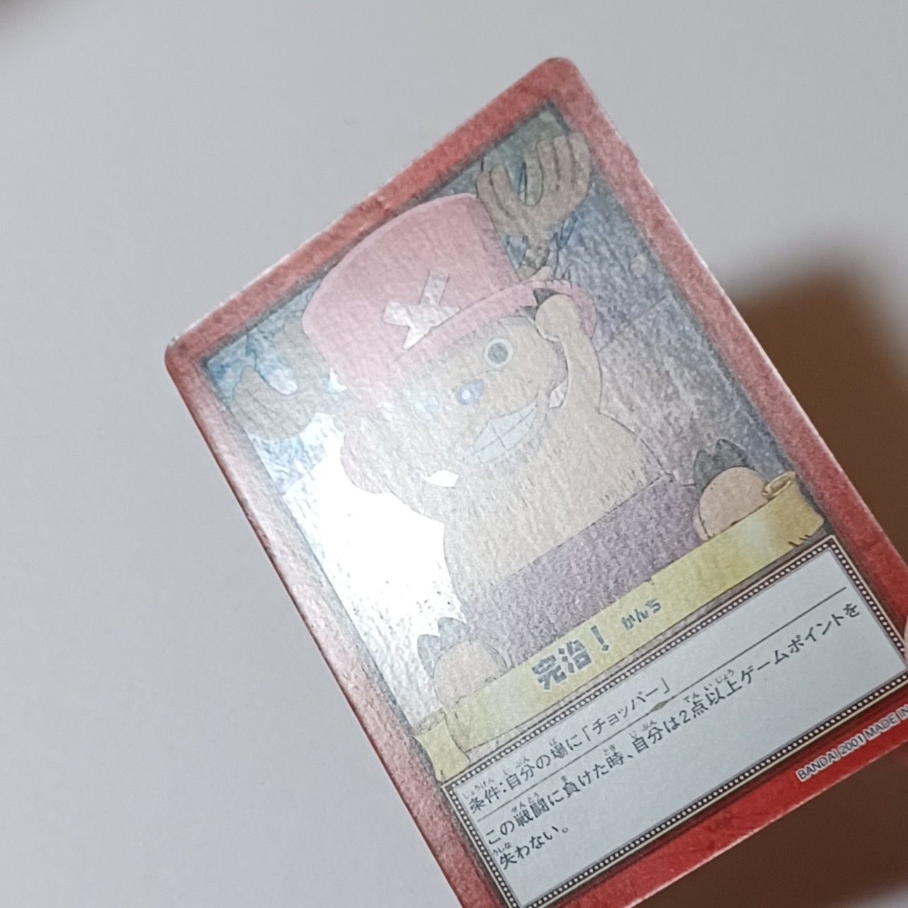 ② 完治！（ホロ）・ チョッパー 万能薬 アミウダケ（ノーマル