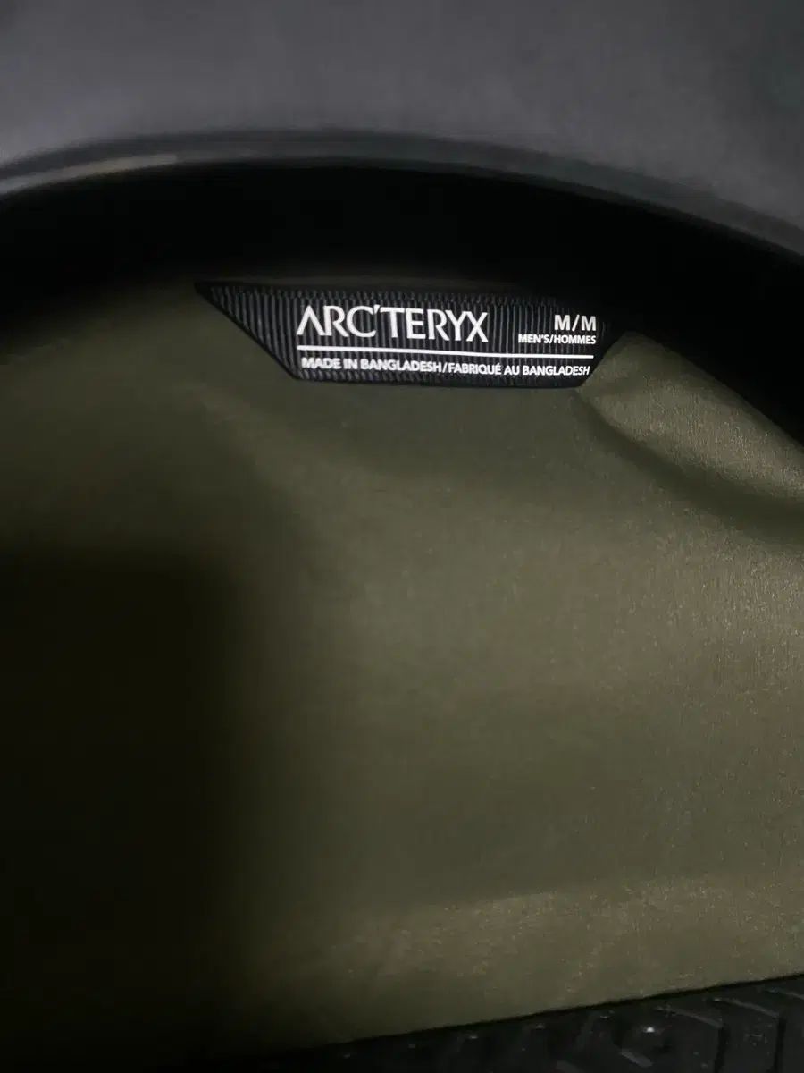  アークテリクス Atom タツ ポリッジ マルチカラー BEAMS맛 その他 アウター