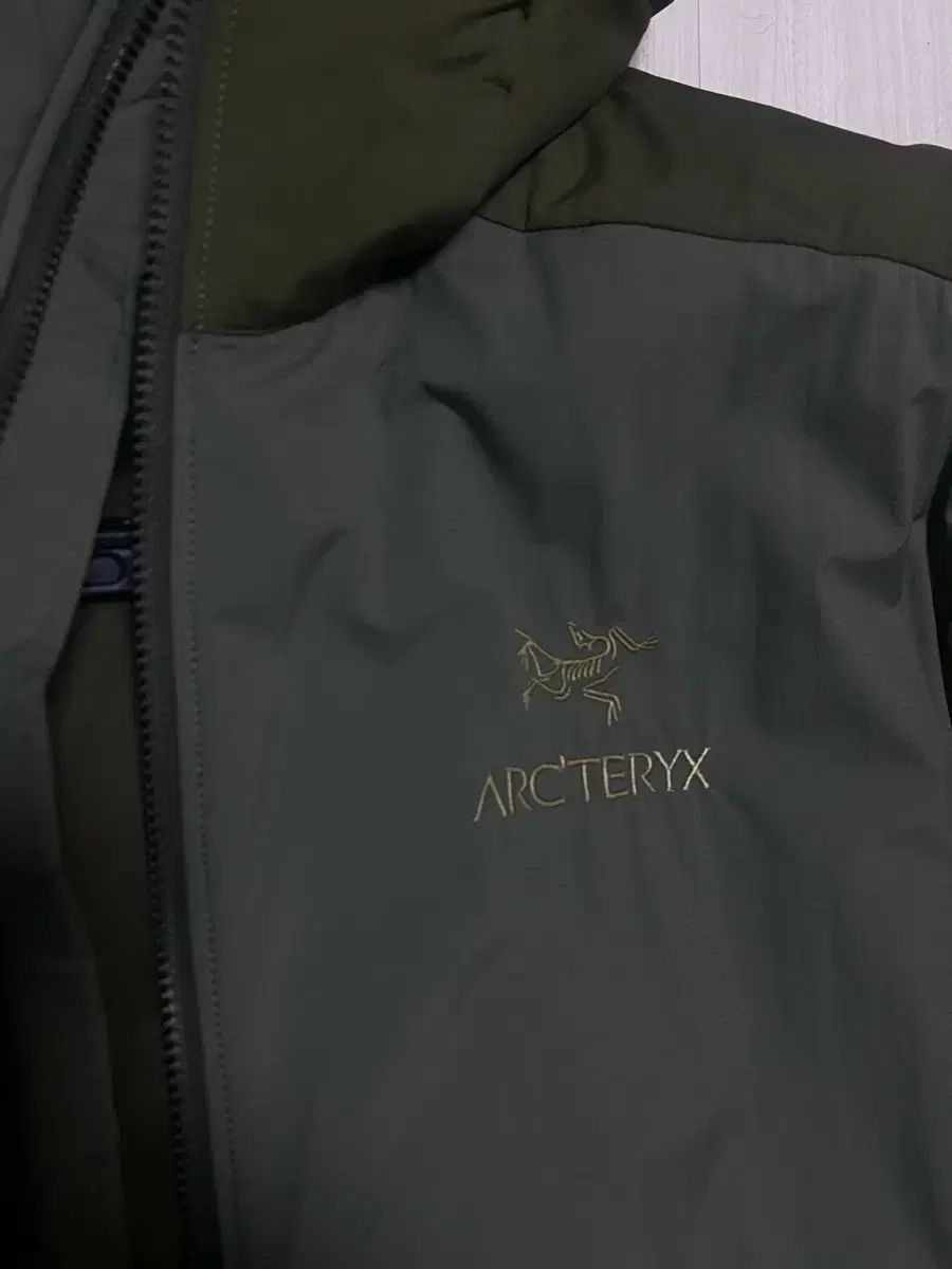 アークテリクス Atom タツ ポリッジ マルチカラー BEAMS맛