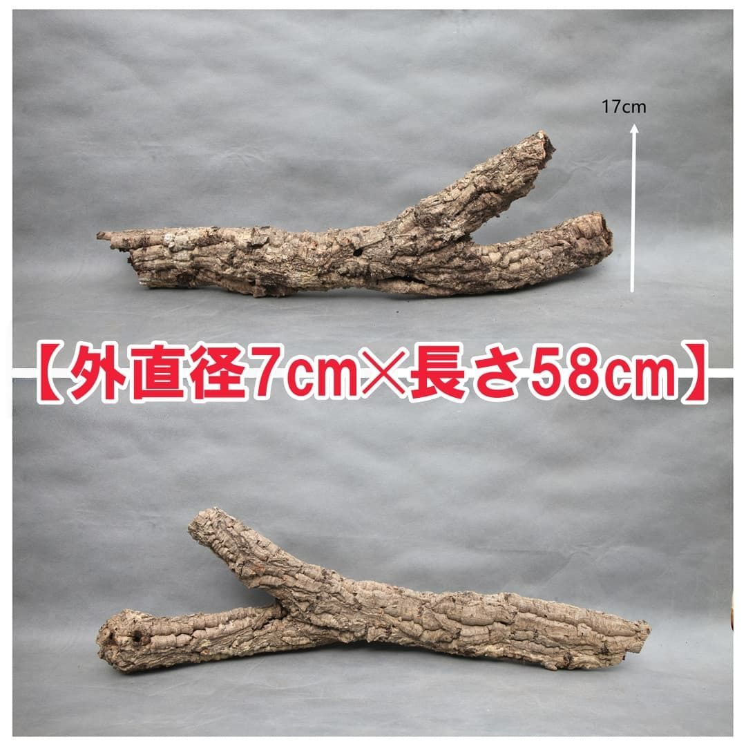 W581 ポルトガル産 キャノンコルク コルク樹皮 コルク板 バージン