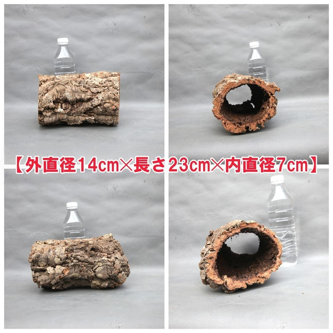 W591 ポルトガル産 キャノンコルク コルク樹皮 コルク板 バージン