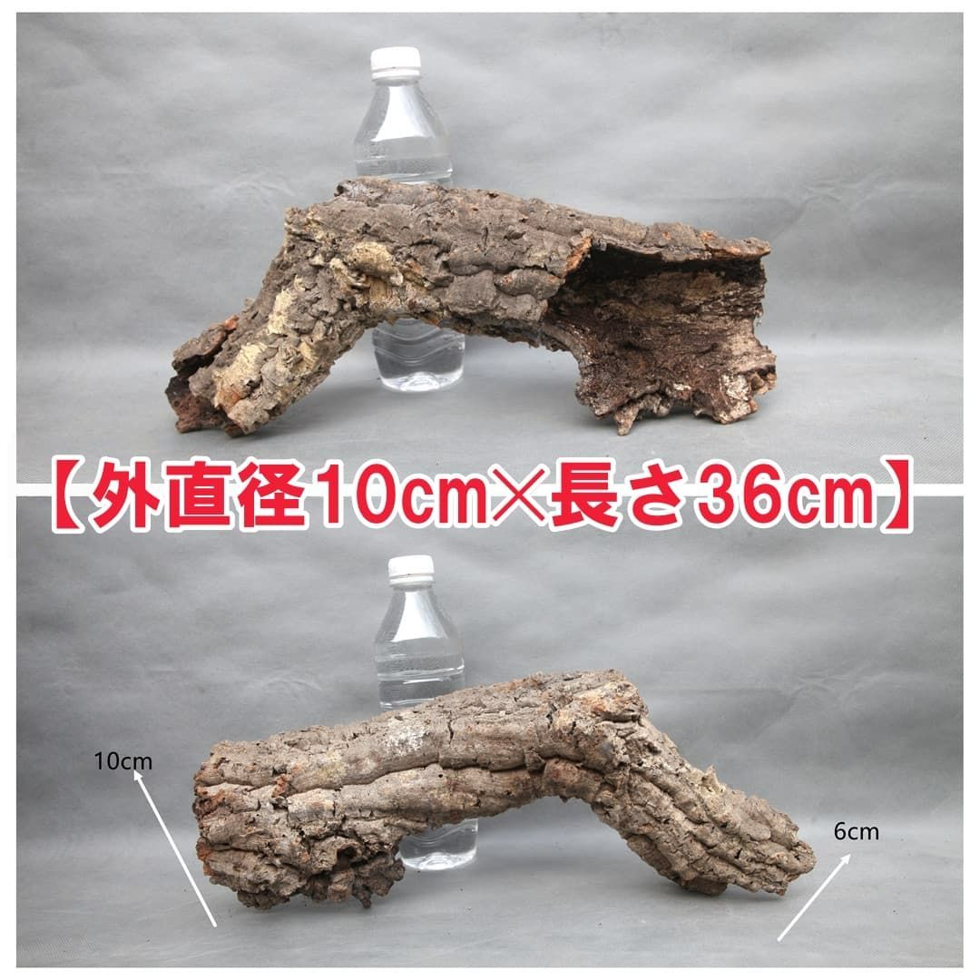 W584 ポルトガル産 キャノンコルク コルク樹皮 コルク板 バージン