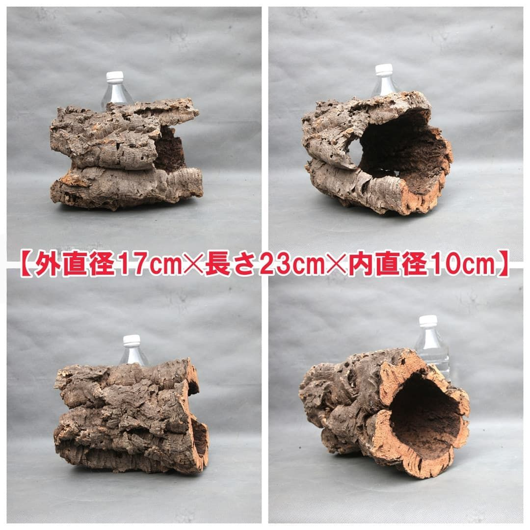 W586 ポルトガル産 キャノンコルク コルク樹皮 コルク板 バージン