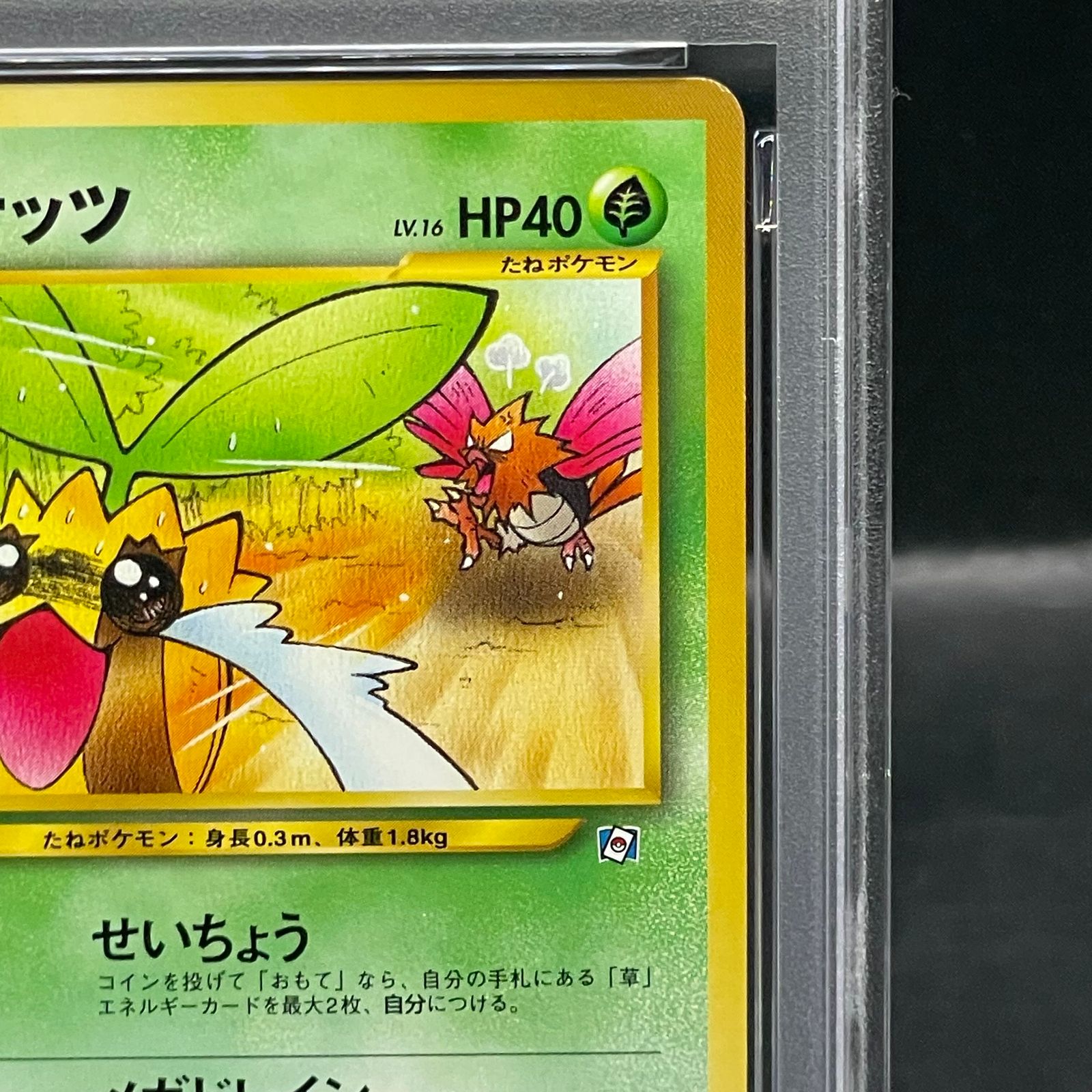 PSA9】ヒマナッツ 《「ポケモンカードになったワケ 4巻」 おまけカード