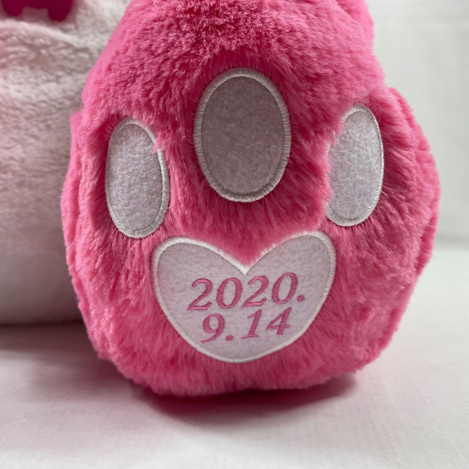 A2597・AAA 15th Anniversary え〜パンダ BIGぬいぐるみ ピンク 末吉