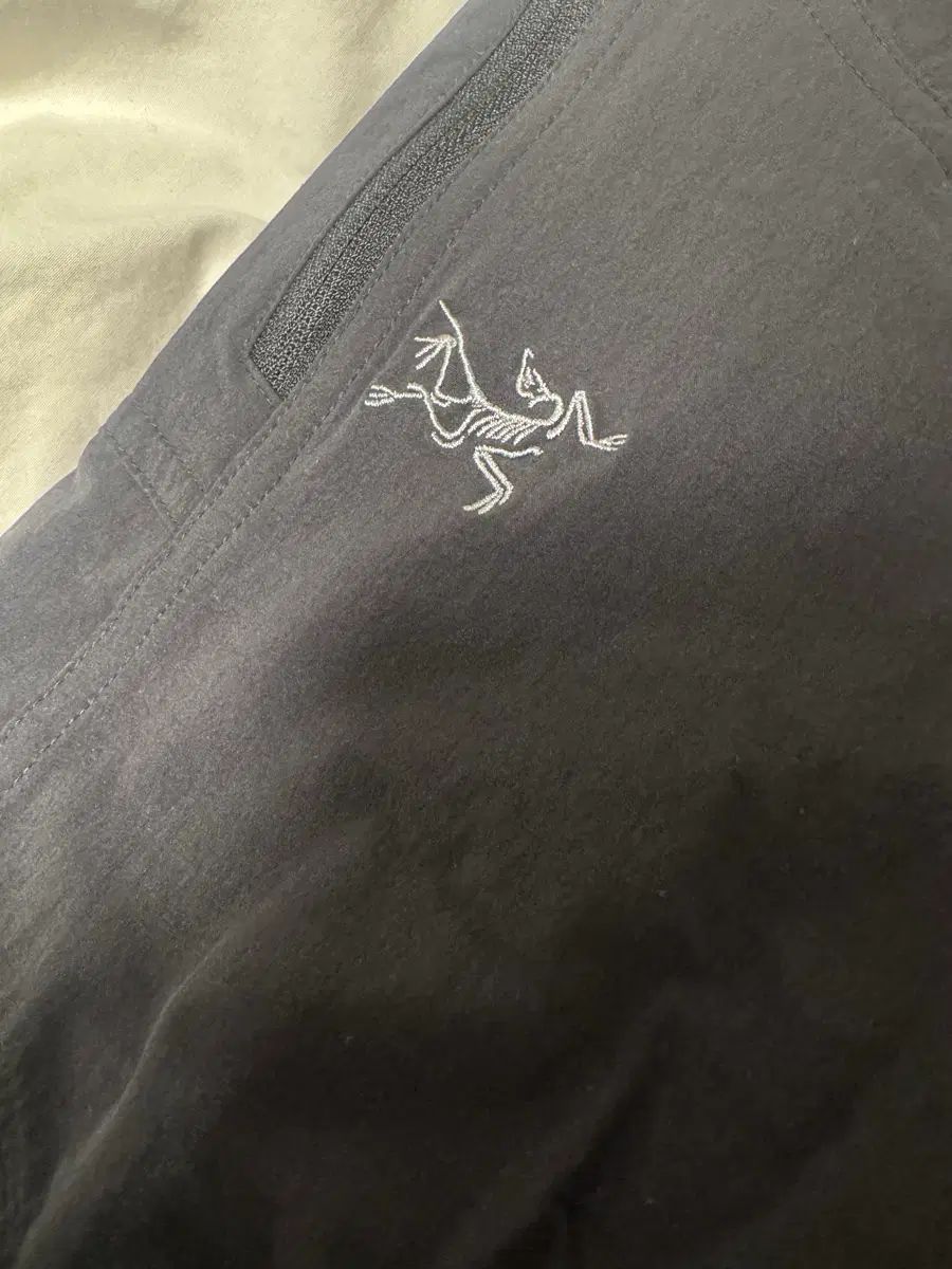 ARC TERYX アークテリクス クローニン パンツ ブラック サイズ 28