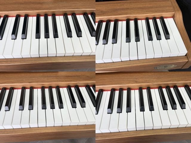 TERENCE 電子ピアノ 88鍵盤 ハンマーアクション鍵盤 20Wデュアル