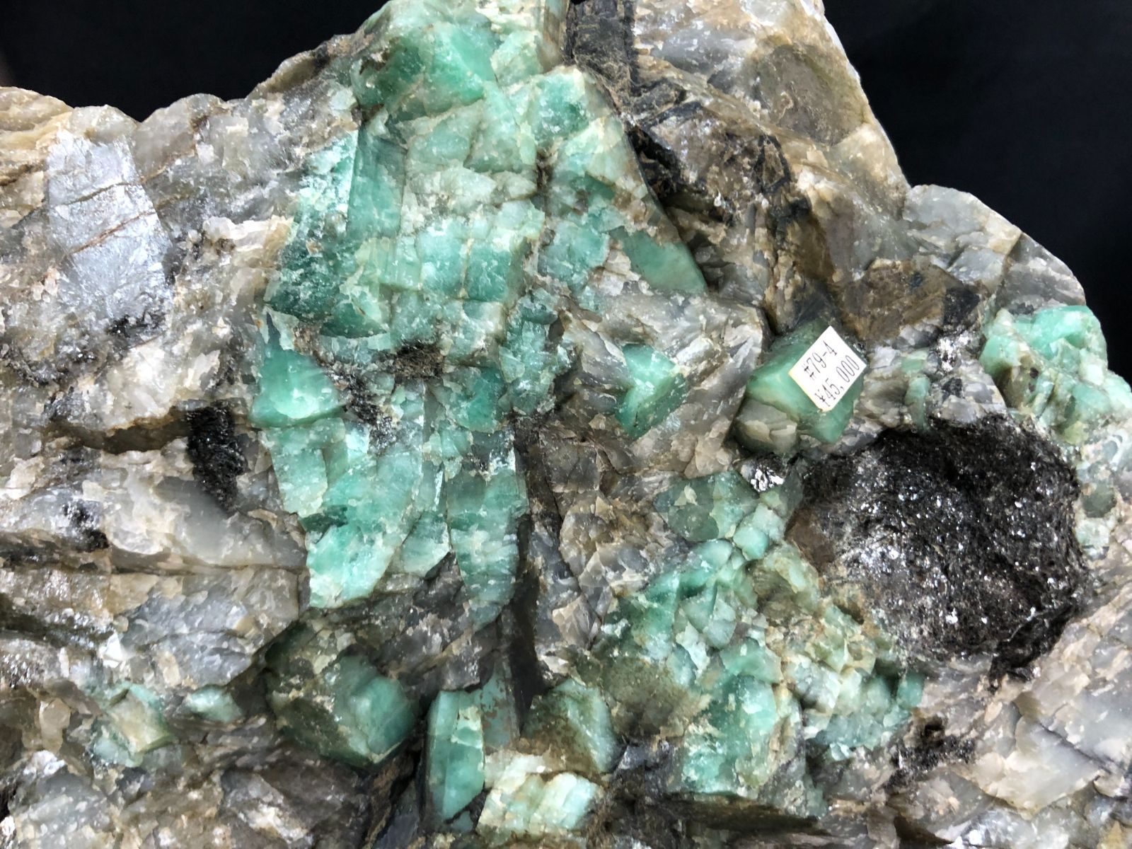 台座付き Brasil産