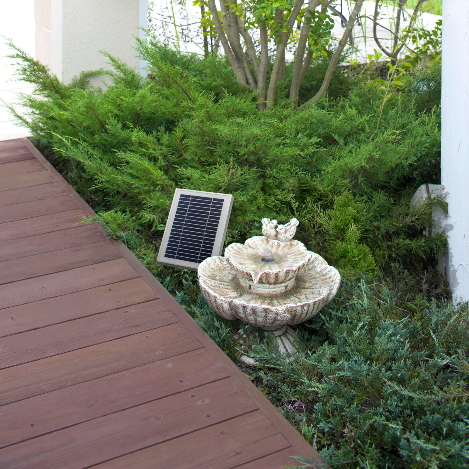 バードバス 太陽光