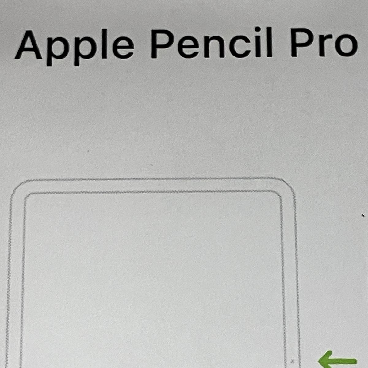 Apple Pencil Pro MX2D3ZA/A A2538 アップル ペンシル プロ iPad