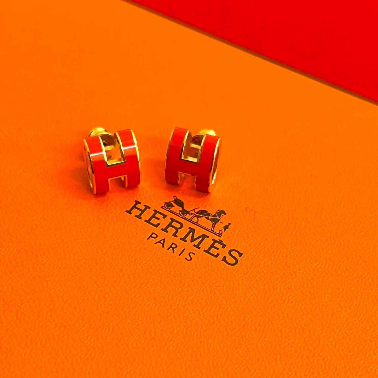 極 美品 HERMES エルメス ポップアッシュ ピアス GP アクセサリー