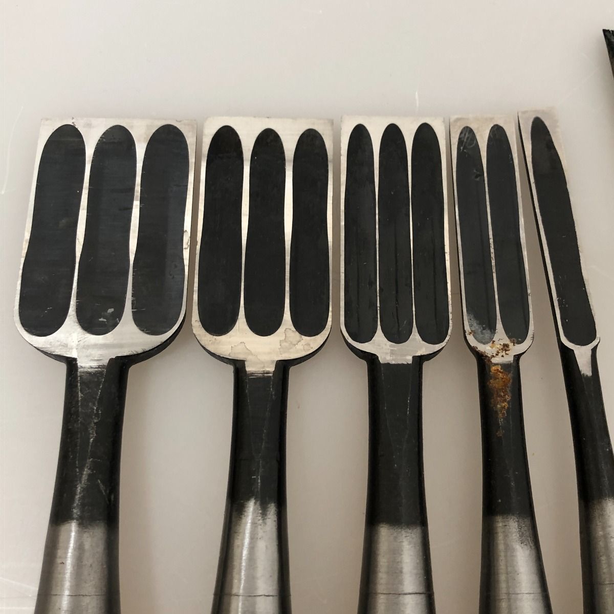 ノミ 5本セット