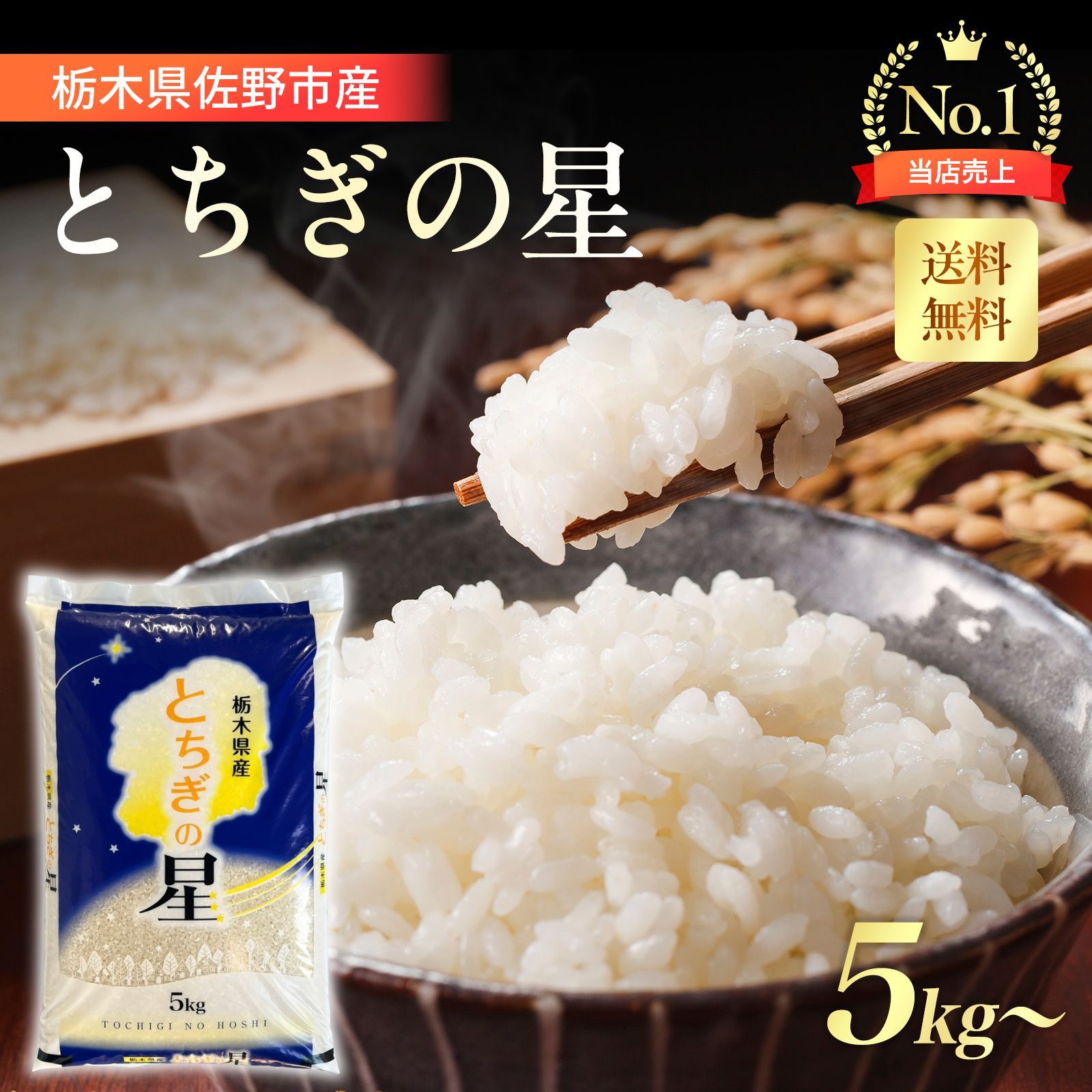 R7年産 新米 群馬県産 とちぎの星 20キロ 玄米 送料込 20kg 米